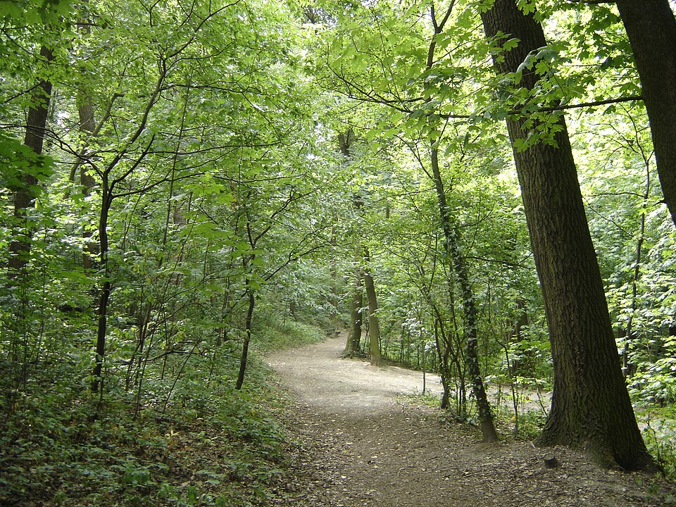 Horský park – archívna fotografia